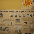 Лаборатория Протозоологии и Арахнологии