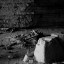 Усадьба графа Разумовского: фото №15677