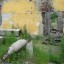 Бывшее стрельбище: фото №19389