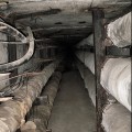 ТКК Озерки