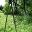 Заброшенный лагерь Тимуровец, Северово: фото №34078