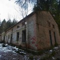Пионерский лагерь «Ёлочка»