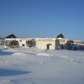 Совхоз «Багарякский»