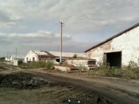 совхоз Черновский