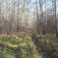 деревня Малиновая Грива