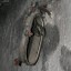 Небольшое заброшенное убежище ГО с радиовышкой и хозблоком: фото №82035