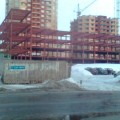 Скелет