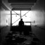 : фото №12393