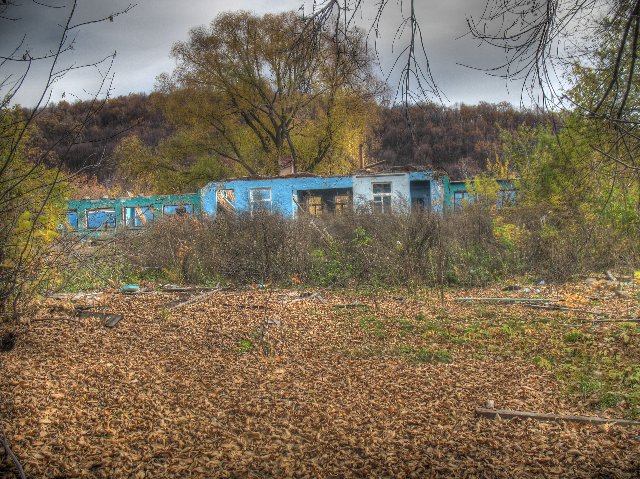Пионерский лагерь "Альбатрос"