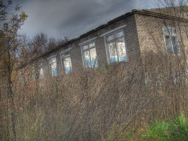 Пионерский лагерь "Альбатрос"