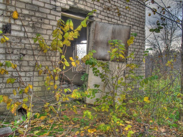 Пионерский лагерь "Альбатрос"