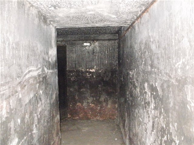 Бомбоубежище в сокольниках