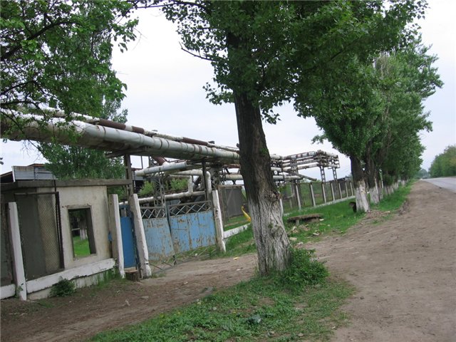 Отстойник ТЭЦ 2