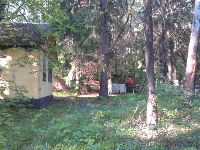 ДОУ Волна, Балашиха