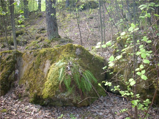 Форт Ино (Николаевский)