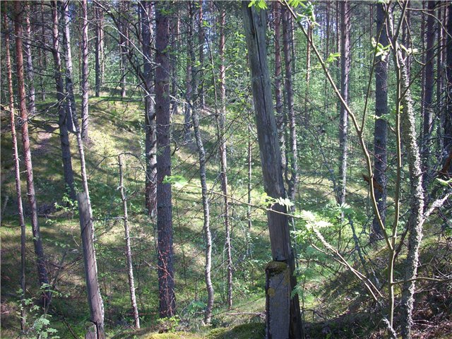 Форт Ино (Николаевский)