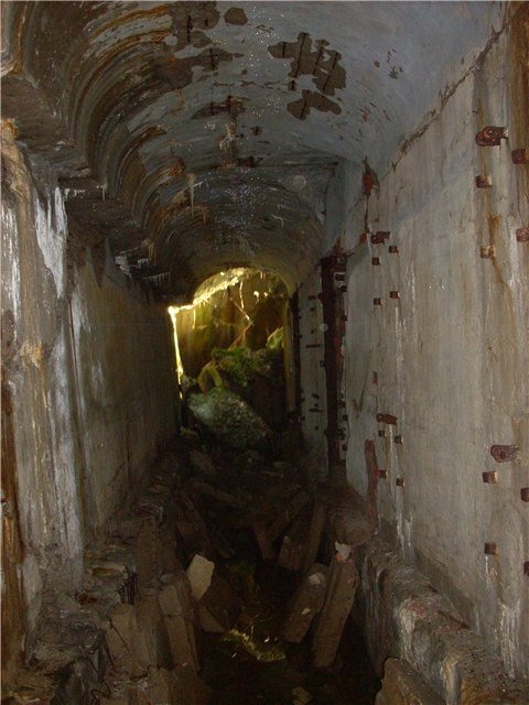 Форт Ино (Николаевский)
