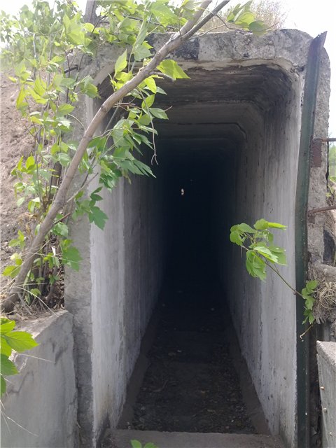 Окрестности заброшенного военного городка близь поселка "Жанна Куат"
