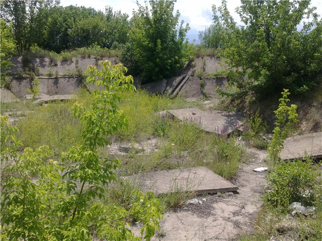 Окрестности заброшенного военного городка близь поселка "Жанна Куат"