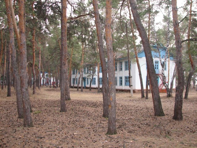 Гастелло