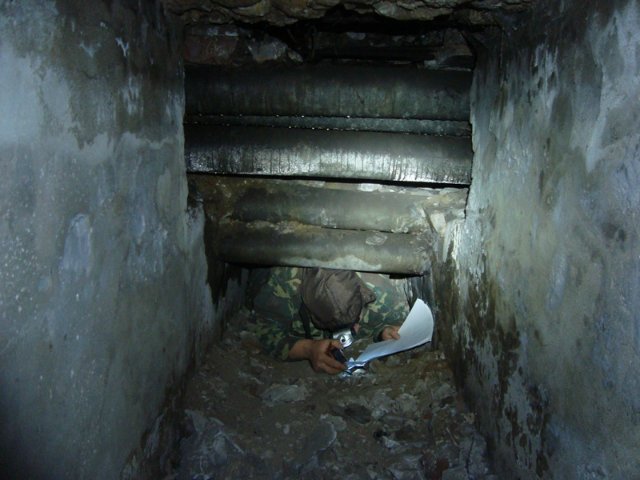 Сталинский поддомник