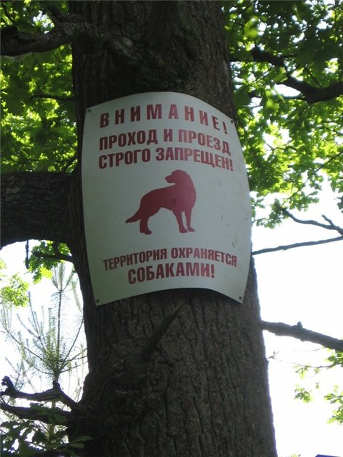 Недостроенный лагерь Дубки