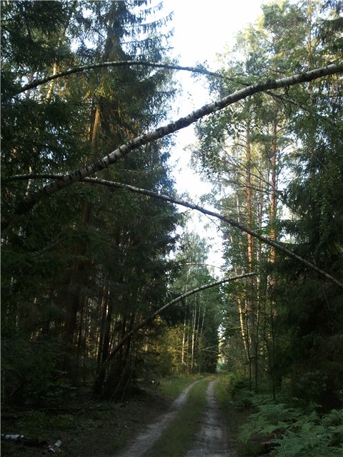 Урочище Курилово
