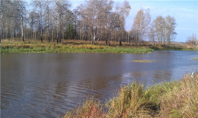 Детский оздоровительный лагерь Спутник