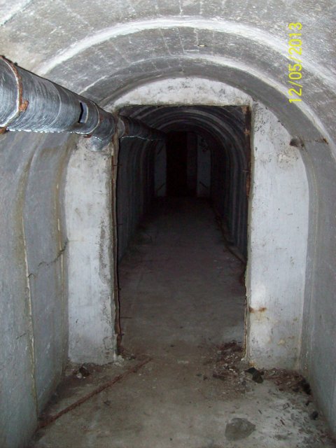 W образное убежище в Ленинградском районе