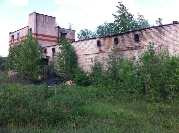 Заброшенный карьер в посёлке им.Горняк, Вышневолоцкий район, Тверская область