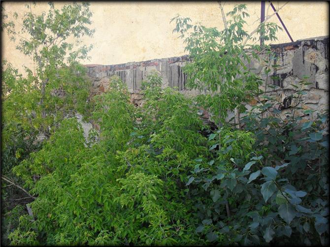 Старый ХПП