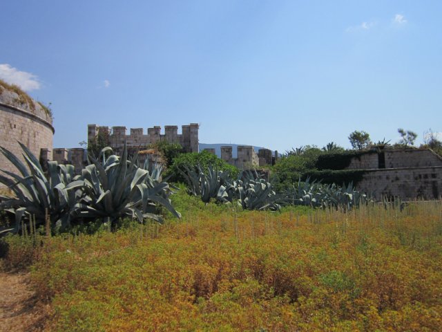 Остров Мамула
