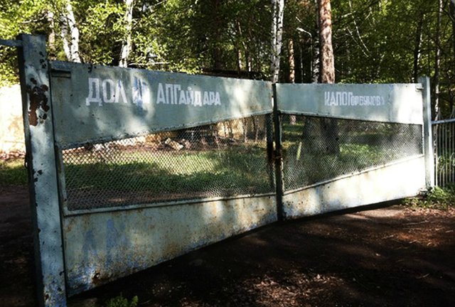 Детский оздоровительный лагерь им.А.П.Гайдара