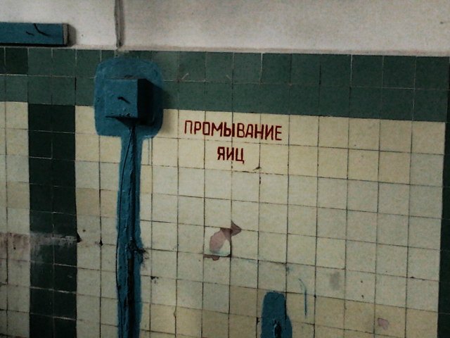 Детский оздоровительный лагерь им.А.П.Гайдара