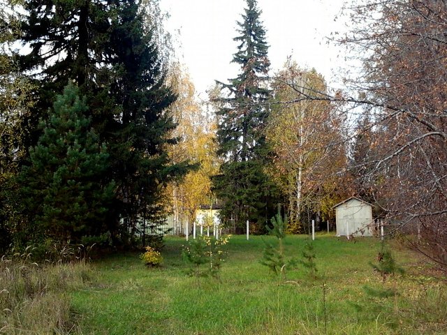Детский оздоровительный лагерь им.А.П.Гайдара
