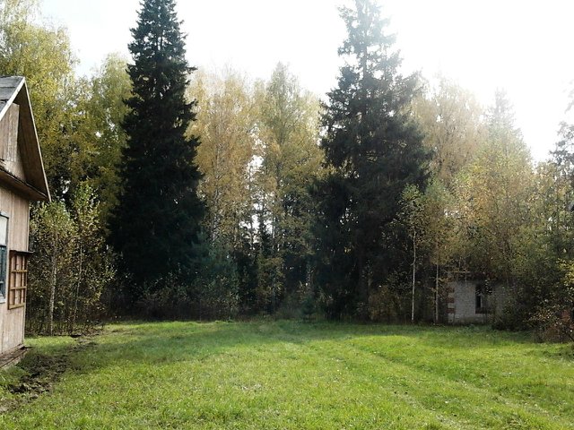 Детский оздоровительный лагерь им.А.П.Гайдара