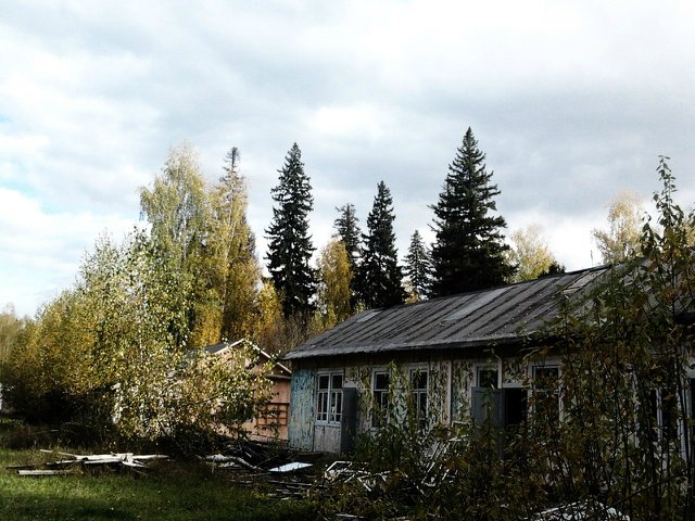 Детский оздоровительный лагерь им.А.П.Гайдара