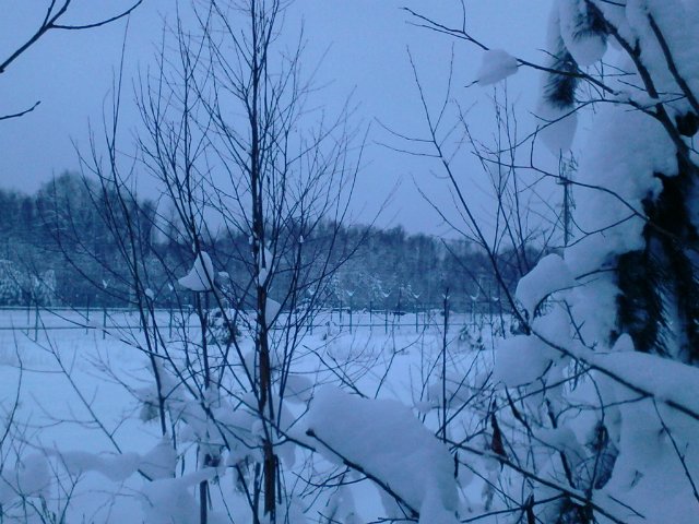 В окрестностях ПЗРО ФГУП “Нижегородский спецкомбинат Радон”
