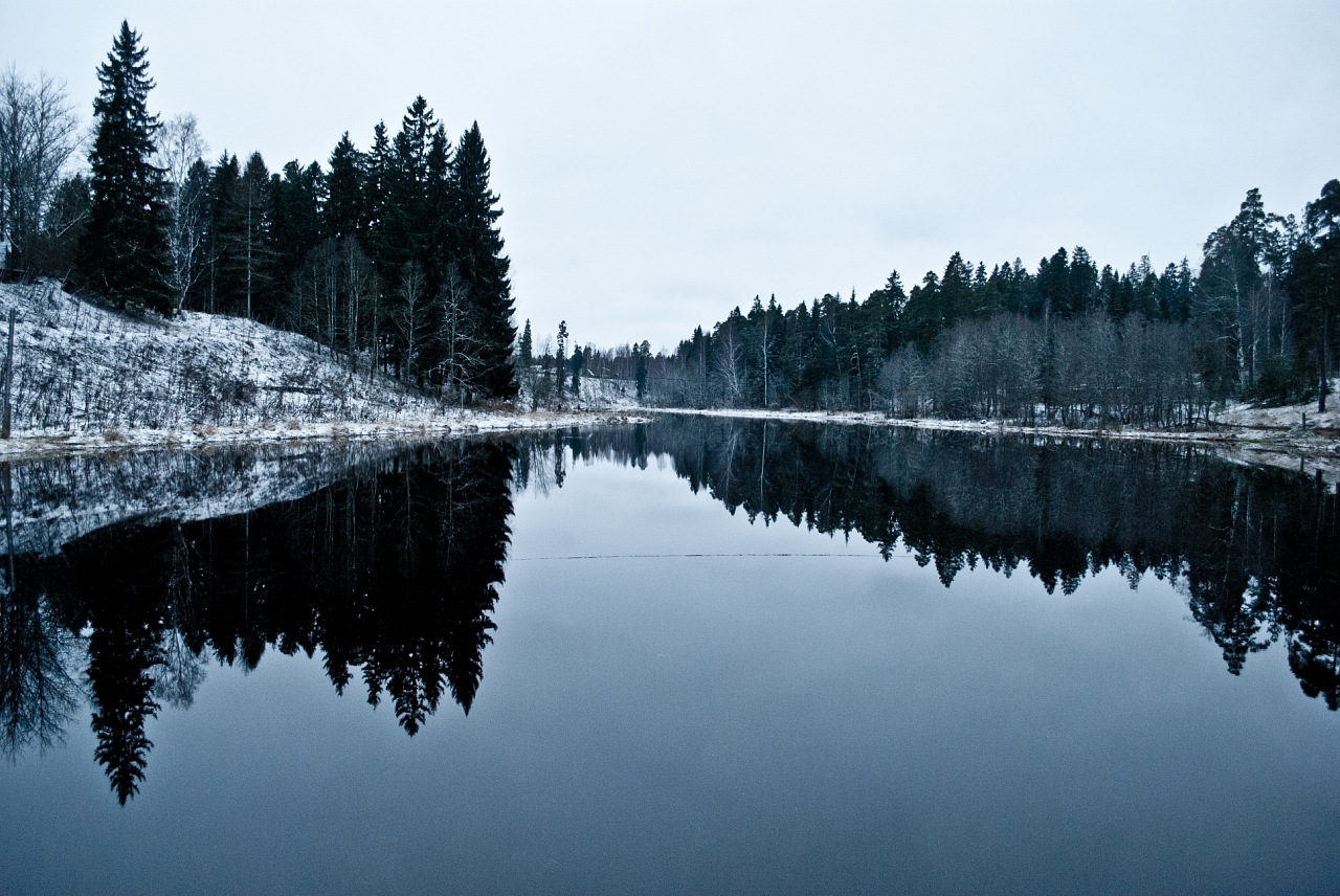 Село Рождественно и Выра