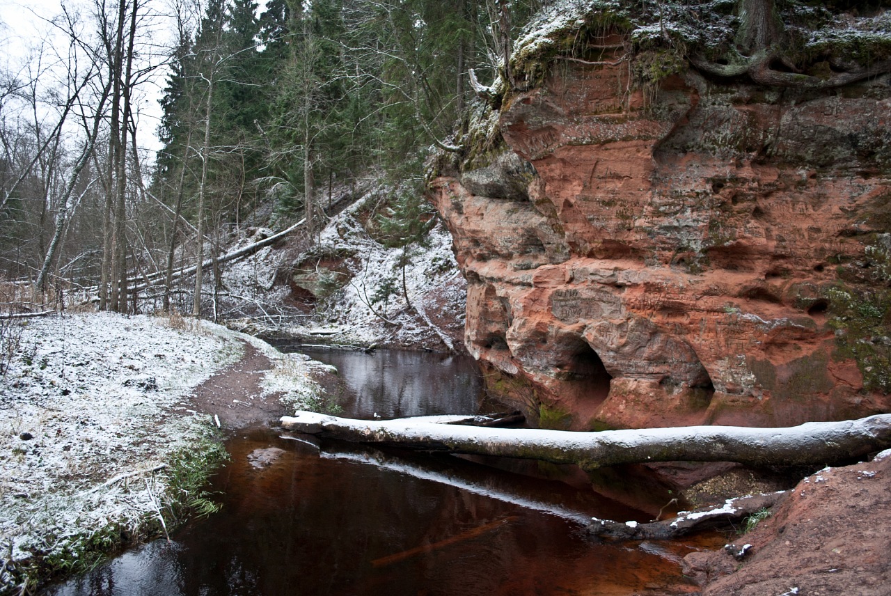 Село Рождественно и Выра