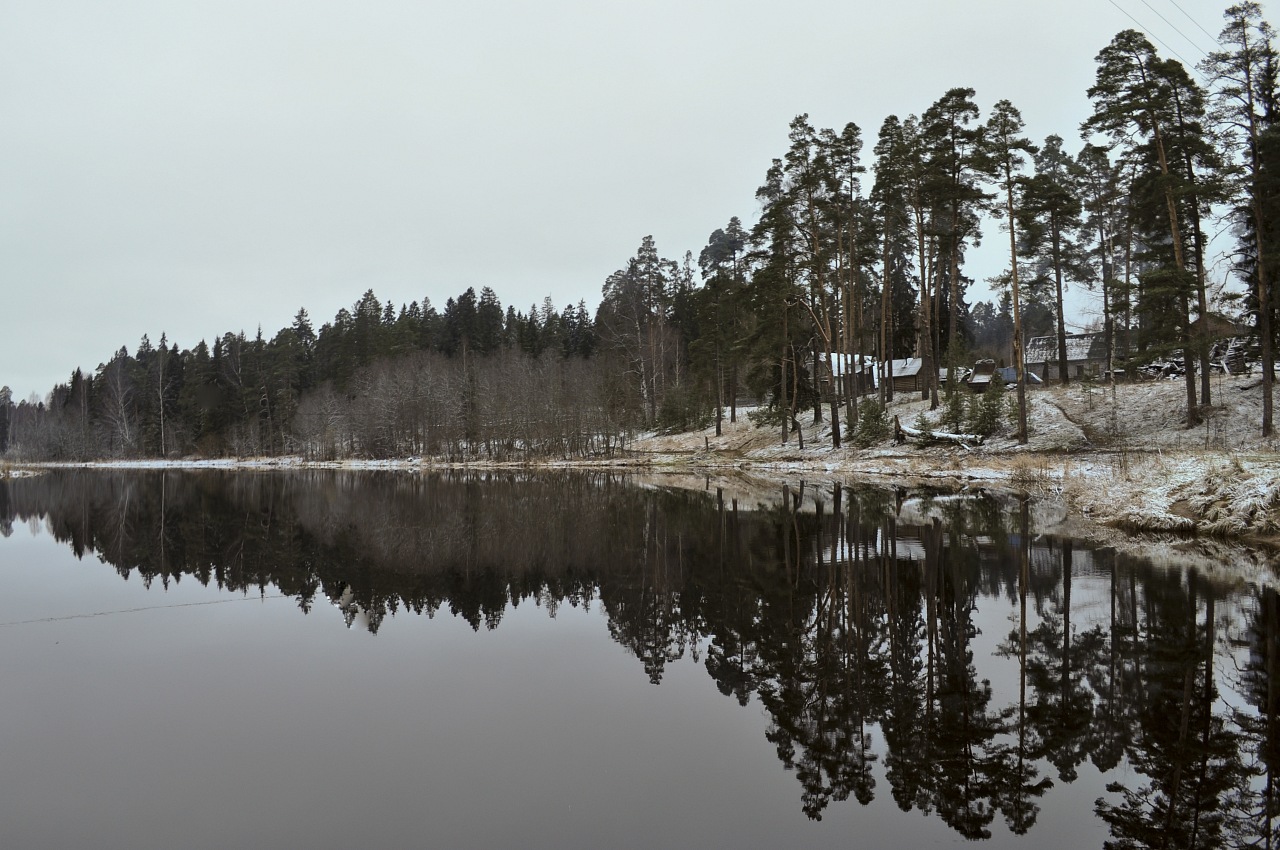 Село Рождественно и Выра