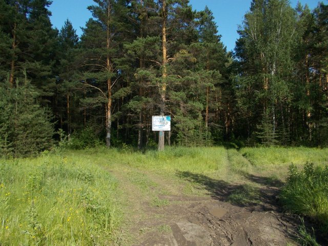 Деревня Курганка и её территория.