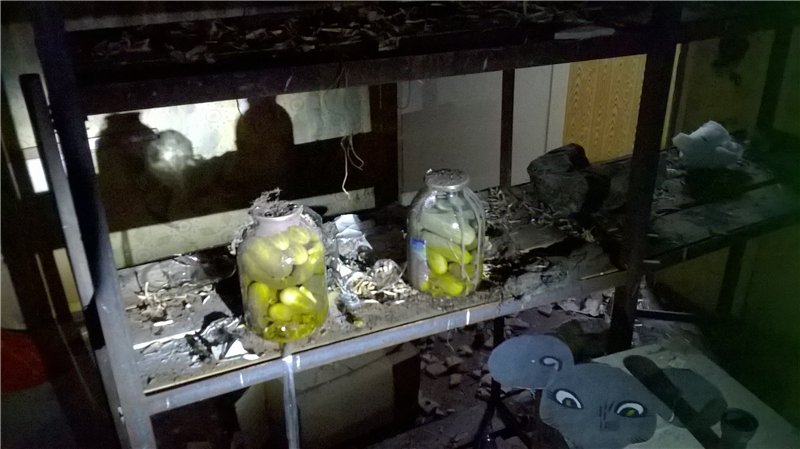Детский лагерь "Ленинец"