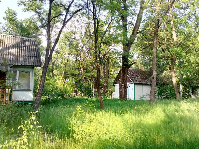 Детский лагерь "Ленинец"
