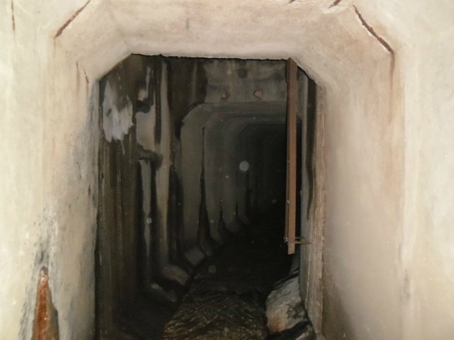 коллектор в Кольцово
