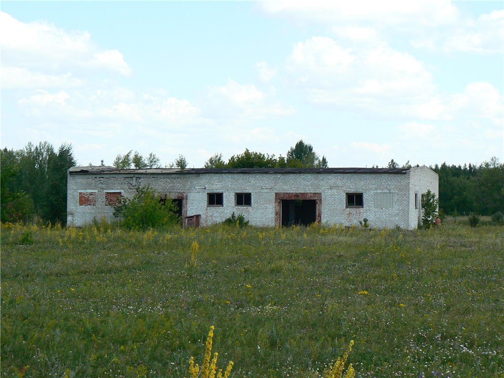 Аэродром Петровск