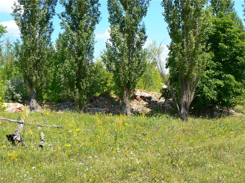 Аэродром Петровск
