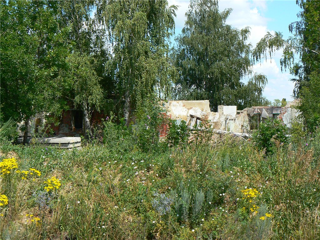 Аэродром Петровск