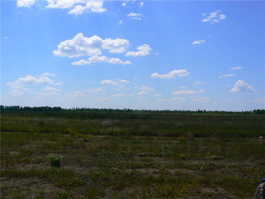 Аэродром Петровск
