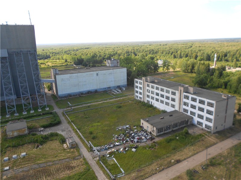 Необычный &quot;кошачий дом&quot; под городом Чехов
